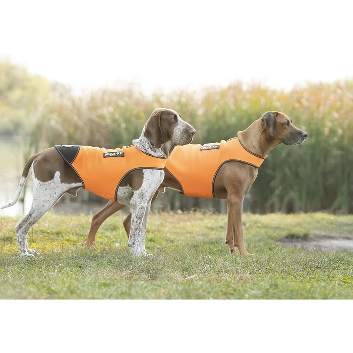 Одяг для собак Julius-K9 IDC Neopren, S, оранжево-чорний