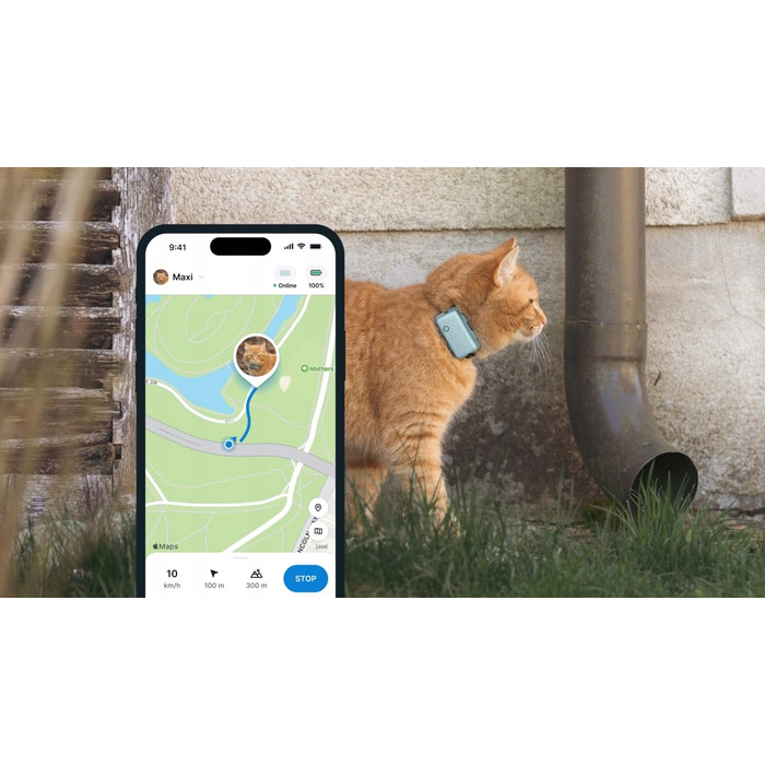 GPS-локатор для котів Tractive CAT Mini — світло-зелений