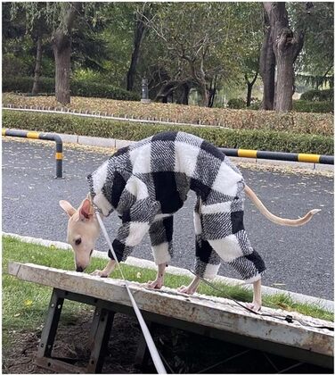 Теплий флісовий комбінезон для собак на зиму, повне покриття тіла, для маленьких, середніх та великих собак (L, чорний/білий)