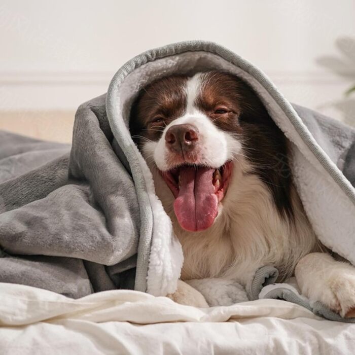 Водонепроникний плед для собак з Sherpa Fleece, 127x152 см, сріблясто-сірий - захист дивану