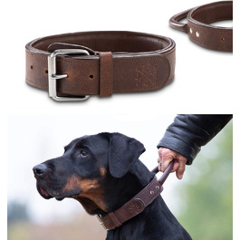 Преміум шкіряний нашийник для собак Джек Рассел з ручкою - міцний нашийник з натуральної шкіри буйвола Jack (L) (48.0-60.0см)