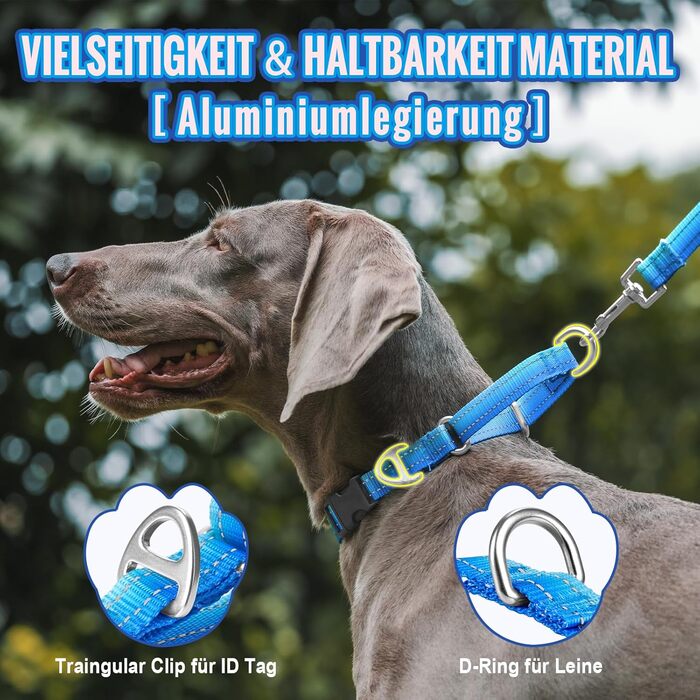 Нашийник для собак Martingale, світловідбиваючий, з зупиняючим ефектом, для великих, середніх та маленьких собак, нейлон, синій, розмір L