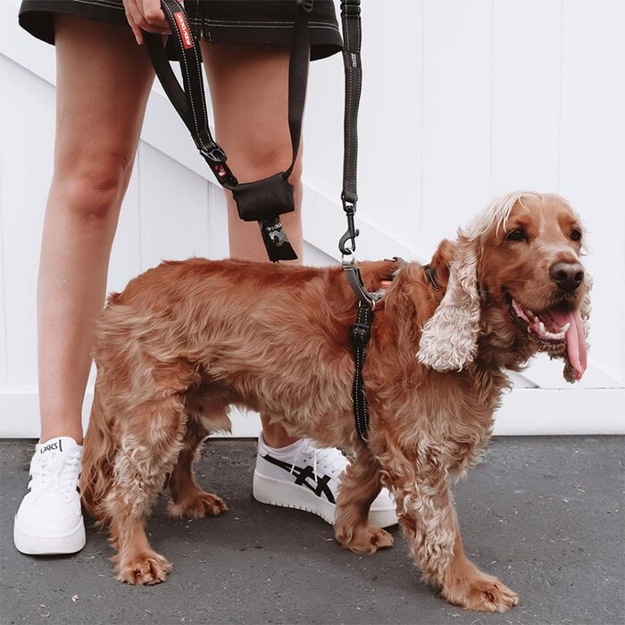 EzyDog антиковзна шлейка для собак Crosscheck, регульована, рефлективна, для малих, середніх і великих порід, розмір S, зелена, для дресирування
