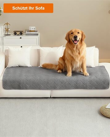 Водонепроникний килимок для собак CTH017G (175x75 см) - захист дивану та авто, ручне прання