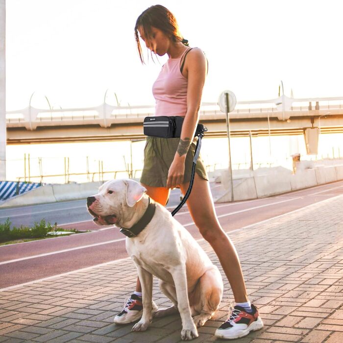 Сумка для ласощів для собак, поясна сумка для собак, аксесуари, мішок для ласощів з дозатором кульок для прибирання, світловідбиваюча еластична стрічка на талії для прогулянок, походів та дресирування (з 1 повідком, чорного кольору)