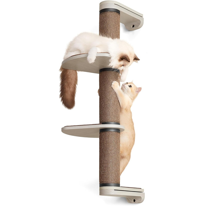 Feandrea Clickat Collection - Драбина-подряпування для котів, 100 см, XL, з 2 стійками, для стіни, розширювана