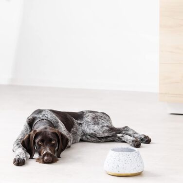 Навіс для собак Navaris Design з кераміки - велика миска для корму - годівниця для собак - миска для кокер-спанієля та довговухих собак - миска для собак біло-блакитно-жовтого кольору