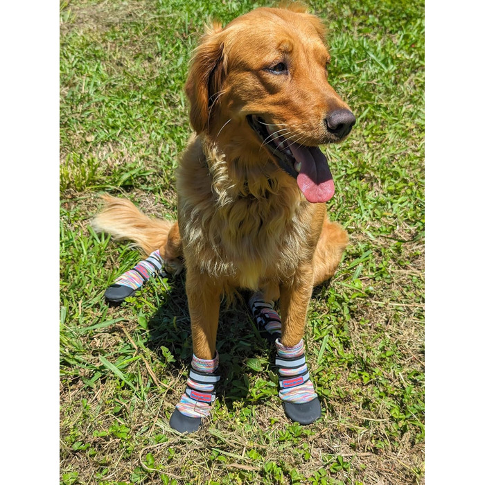 Чоботи для будь-якої погоди, Неопрен, захист лап, з відбиваючими ременями, 5 розмірів (багатобарвні, розмір M) Multicolor Medium