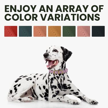 Нашийник для собак BRONZEDOG з QR-ID, шкіряний, регульований, чорний (Чорна ніч), 40-48 см