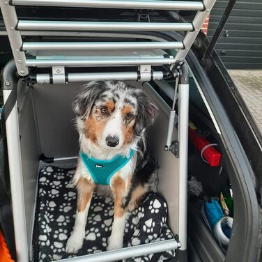 Алюмінієвий бокс NOBBY 62324 з заокругленими кутами, 59x55x49 см, 66x61x20 см