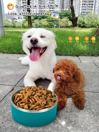 Набір мисок для собак IKITCHEN з нержавіючої сталі, подвійні стінки, 1.8 л, блакитний, для корму та води