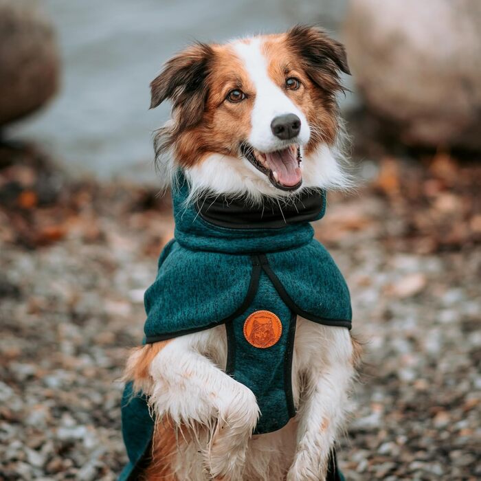 Куртка для собак Wilderdog з флісу та неопрена, розмір S, синя