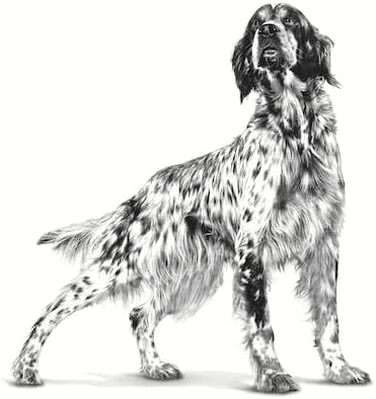 Корм лікувальний Royal Canin Vet Diet Satiety Support для собак, 12 кг (набір 1.5 кг)