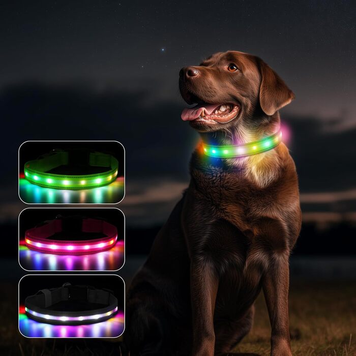 Світлодіодна нашийник для собак Feycig з USB-зарядкою - водонепроникний, регульований, 3 режими, для малих, середніх та великих собак (світло-зелений, L(48-60см))
