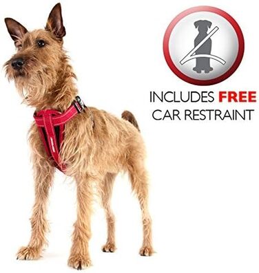 Шлейка для собак EzyDog Chest Plate – безпечна шлейка з адаптером для пасків безпеки – світловідбиваюча, з м'якою підкладкою для собак малих, середніх та великих порід (XS, Чорний)