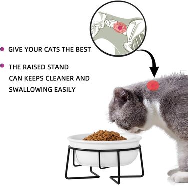КерамІчна годівниця для котів з металевим підставкою, 340 мл, біла