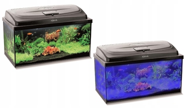 Комплект акваріума Aquael Box 112л (80x35x40) з освітленням 