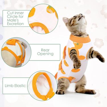 Тільце після кастрації для котів, медичний одяг, хірургічний костюм, одяг для відновлення після операції (Помаранчевий, S)