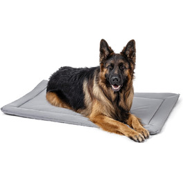 колір: кремень