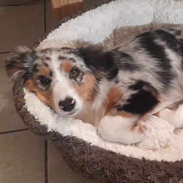 Лягушкове ліжко Nobby Komfortbett Oval Neiku для собак та котів, коричнево-біле, 65x57x22 см