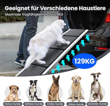 Східці для собак DAISTERN, розкладні, 170 x 44 см, з м'яким килимом, металевий каркас, для собак маленьких, середніх та великих порід