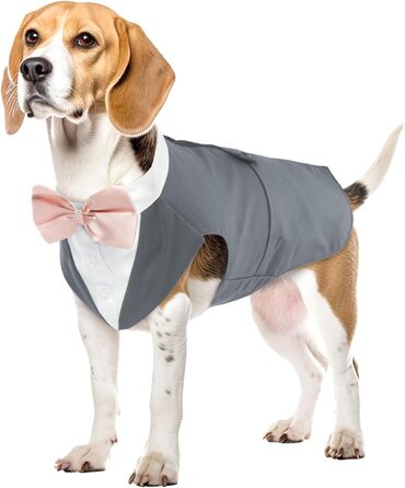 Костюм для собак з банданою: елегантний набір для свят та вечірок (сірий, L)