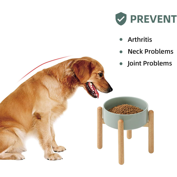 Керамічна годівниця для собак Havniva 21 см зі стійкою, великі породи, миска для їжі та води (1 шт., світло-зелена)