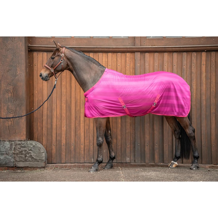 Захисна ковдра для коней Equinate Guardian з перехресною стропою та підстилкою на хребті - ковдра від екземи з ефективним захистом від комах - ковдра для випасу (Raspberry, 135 см)
