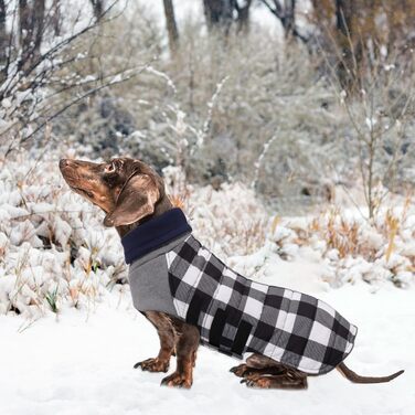 Теплий водонепроникний зимовий одяг для собак Dachshund (Такса), чорний, розмір S, в клітинку