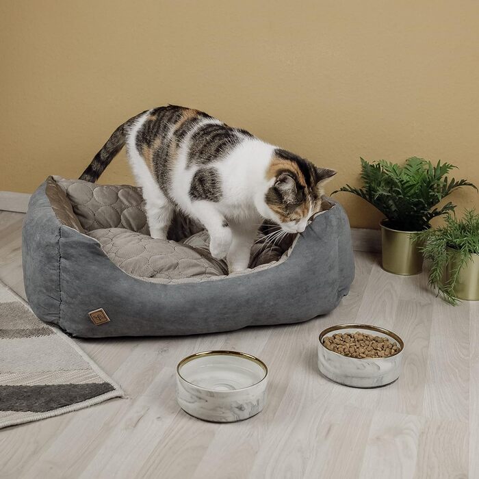 Ліжко для собак Ne&no® 2 в 1: охолоджуючий та зігріваючий матеріал, середні породи, 80x60 см, миється. Персоналізоване собаче ліжечко, блакитне, 35x45 см