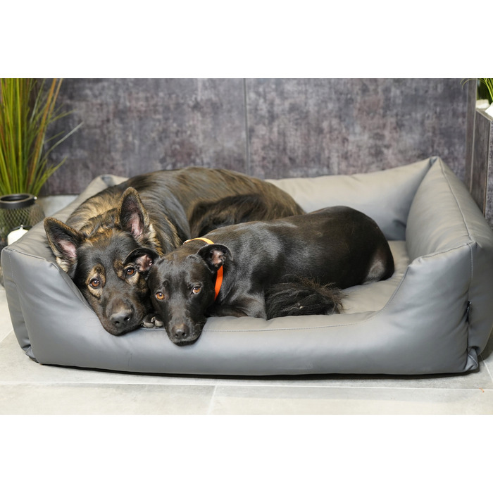 Текстильне ліжко для собак, сіре, 100 x 70 см, розмір 4L