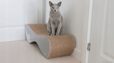 Дряпалка MyKotty Vigo, сіра