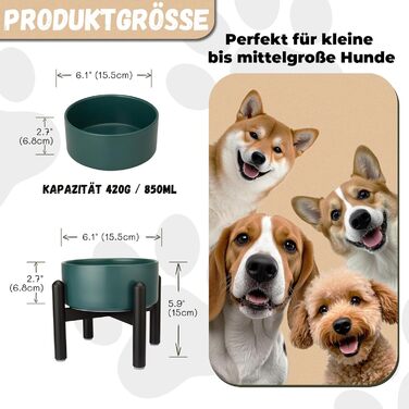 Підвищена годівниця для собак, керамічна миска для корму з нержавіючою підставкою, для малих та великих собак, діаметр 15,5 см, об'єм 850 мл, білий колір (середній, зелений)