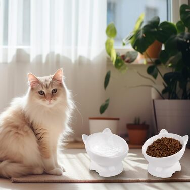 Набір мисок для котів (2 шт.), підняті, з захистом шиї, 15° нахил, кераміка, для корму та води - білий