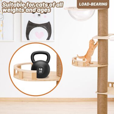 Котячий комплекс Роміромі з 7 ярусами, 250-260 см, регульована висота, котячий будиночок, гамак, 6 платформ, прозора капсула