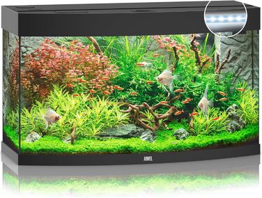 Акваріум Juwel Vision 180 LED, світле дерево, 180 л