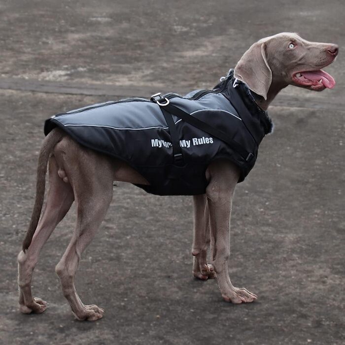 Водонепроникний зимовий одяг для собак - тепла куртка-жилет для собак середніх та великих порід, 2XL