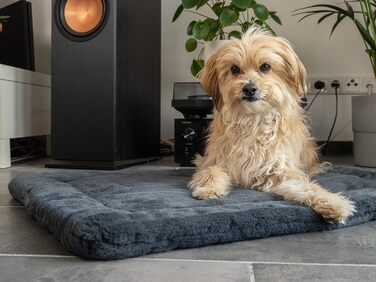 TrendPet Harmony: М'яка підстилка для собак та котів, 50x35 см, антрацит