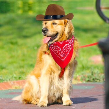 Ковбойський костюм для домашніх тварин: капелюх та бандана, комплект аксесуарів для собак та котів, коричневий