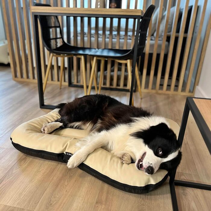 Килимок для собак 4L Textil Ella, 90x70 см, бежевий - водовідштовхувальне штучне шкіряне ліжко для собак середніх порід