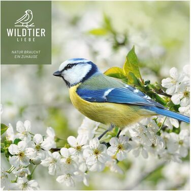 Годівниця для птахів Wildtier Liebe, 23,5 см, зелена - з нержавіючої сталі. Годівна колонка для птахів, годівничий силос для диких птахів. Годування протягом року, 23,5 см, зелений колір