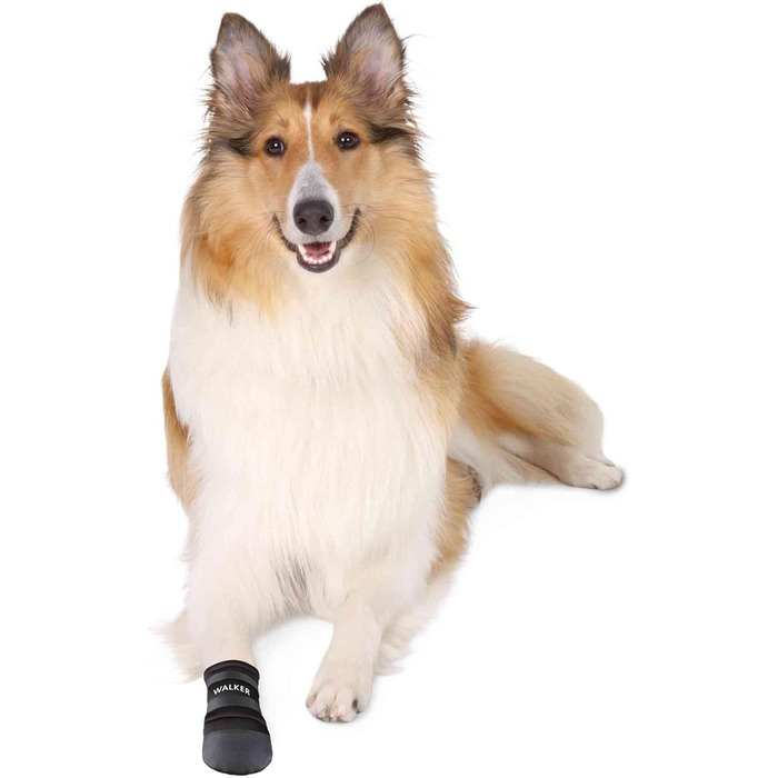 Водонепроникні собачі чоботи TRIXIE, захист лап Walker Care, XL, чорні (2 шт.)