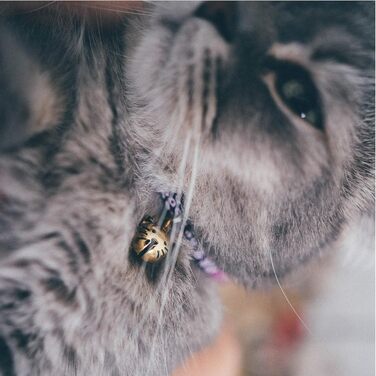 Нашийник для котів Necoichi Chirimen Hanabi Feuerwerk, фіолетовий