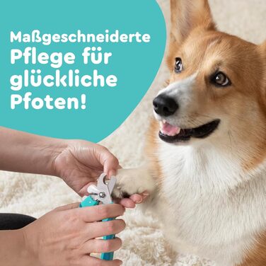Ножиці для стрижки кігтів собак та котів COARO з захистом від травм - з фіксатором та професійною пилочкою, нержавіюча сталь