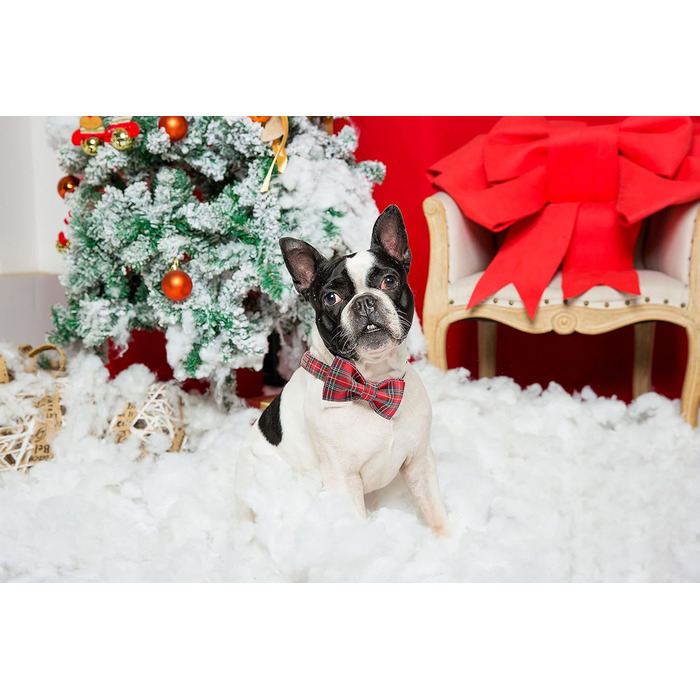 Ошатний нашийник для собак з метеликом, регульований, для собак та котів (M, 1 шт.) Шотландський червоний