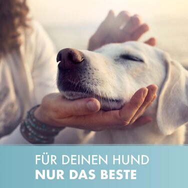 Ліжко для собак з віско-матрацом, миється - корзинка для собак, високоякісне собаче ліжко, ліжко для собак, що захищає суглоби, міцна собача підстилка, розмір L 110 x 90 см, коричневе