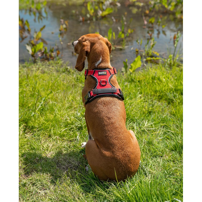 Шлейка для собак Ionto з відбиваючим матеріалом, м'яка, червона, розмір S, з двома кільцями, 4 ременями та гумовим ручним захопленням