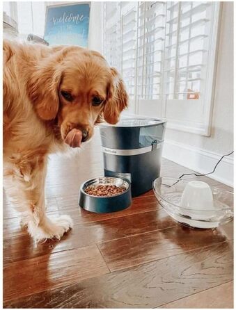Автоматична годівниця PetSafe Smart Feed для сухого корму, з керуванням через смартфон, 1,5 л, чорна/сіра