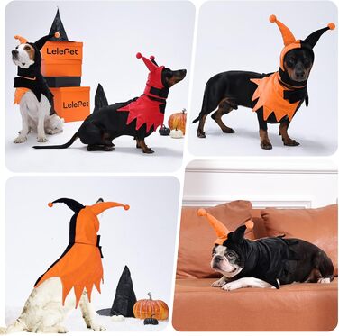 Костюм на Хелловін для собак Lelepet з капелюхом та накидкою, веселому костюму для домашніх тварин, косплей-одягу на Хелловін, для вечірки, на карнавал, святковий одяг для собак маленьких, середніх та великих розмірів (X-Small, помаранчевий/апельсиновий в