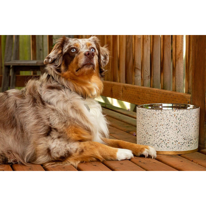 Підставка для годівлі собак Pet Junkie Terrazzo з мискою з нержавіючої сталі, велика, біла